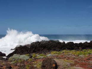 Punta Negra